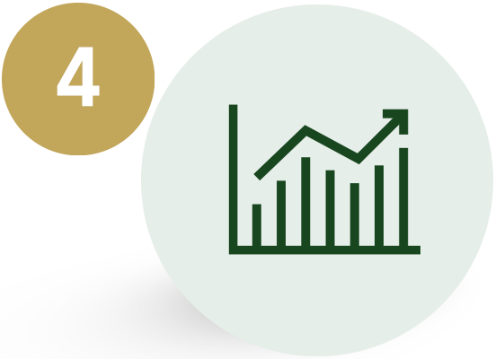 Optimize icon