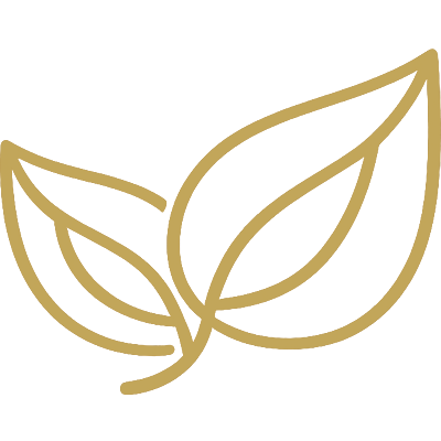 ribbon