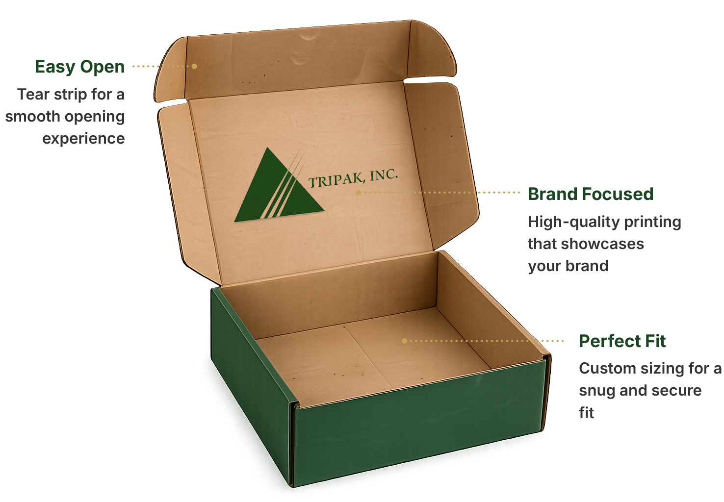 Open cardboard box with green exterior, labeled features including easy open, brand printing, and custom sizing.
