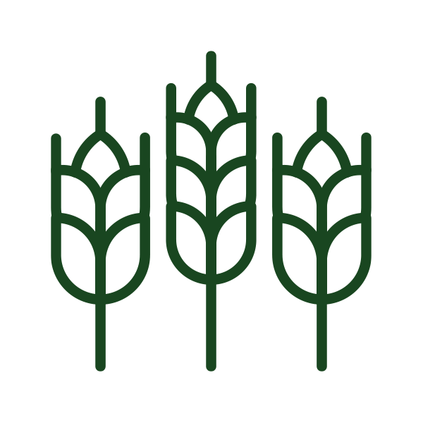 Agriculture Products Icon Three stylized green wheat stalks on a white background.