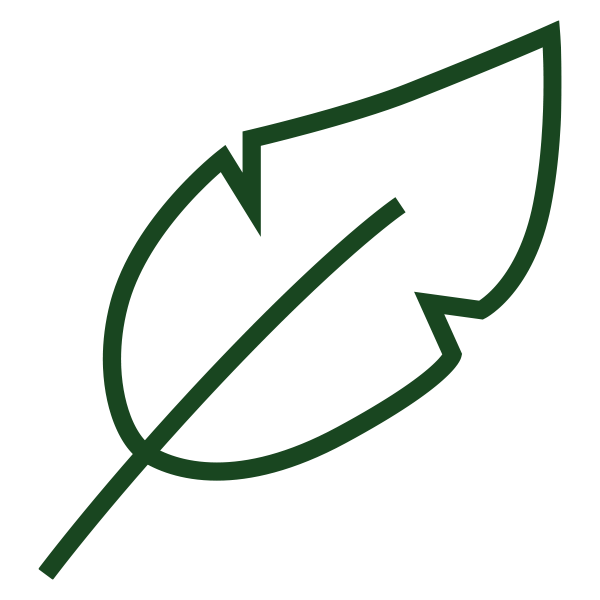 A stylized dark green leaf outline with a geometric design on a white background.
