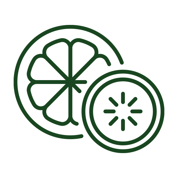 Two stylized line drawings of citrus and kiwi fruit slices in dark green.