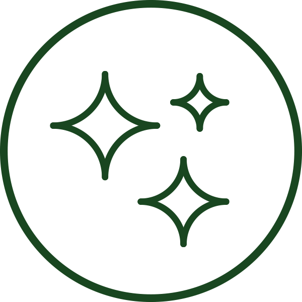 Gloss Finish Icon Green sparkle or shine icon inside a dark green circular border on a white background.