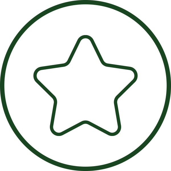 Metallic Finish Icon A simple green outline of a star centered within a green circle on a white background.
