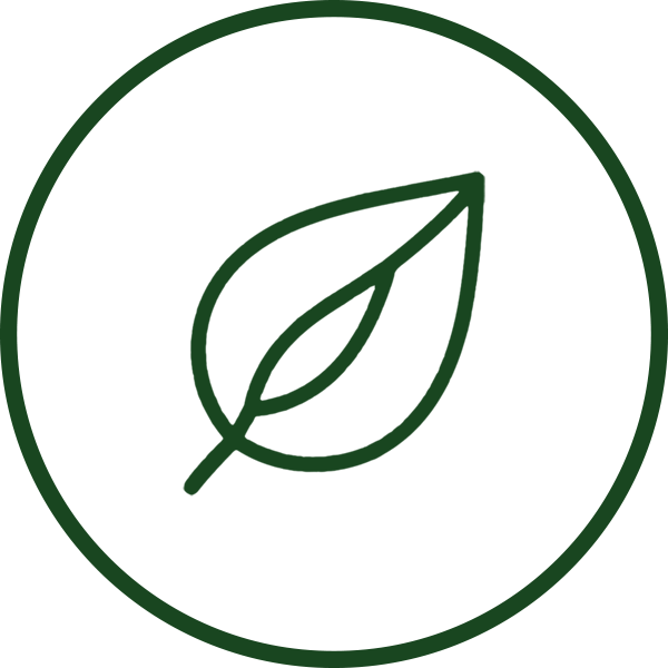 A green line drawing of a leaf inside a green circle on a white background.
