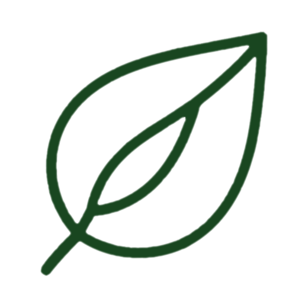 Dark green outline of a stylized leaf with a central vein on a white background.