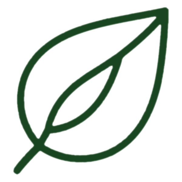 Dark green outline of a stylized leaf with a central vein on a white background.