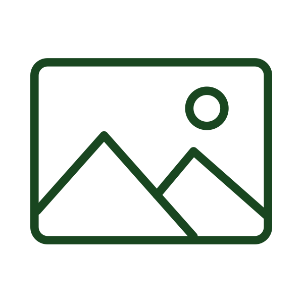 Icon of two mountains and the sun in dark green on a white background.