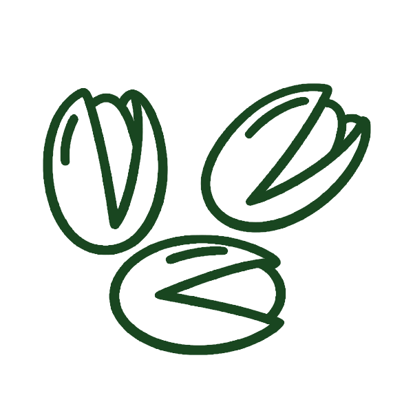 Illustration of three opened pistachio nuts in shells.