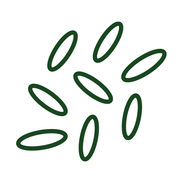 Nine dark green outlined ovals scattered on a white background.