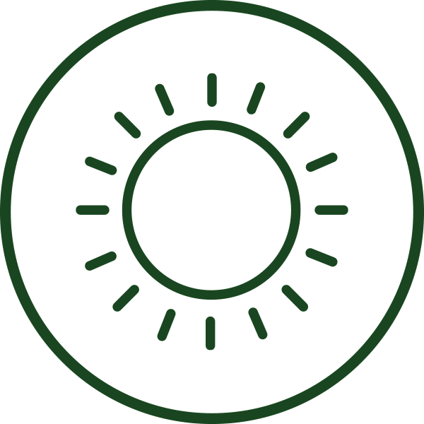 Sun Icon Stylized green sun icon with rays on a white background.