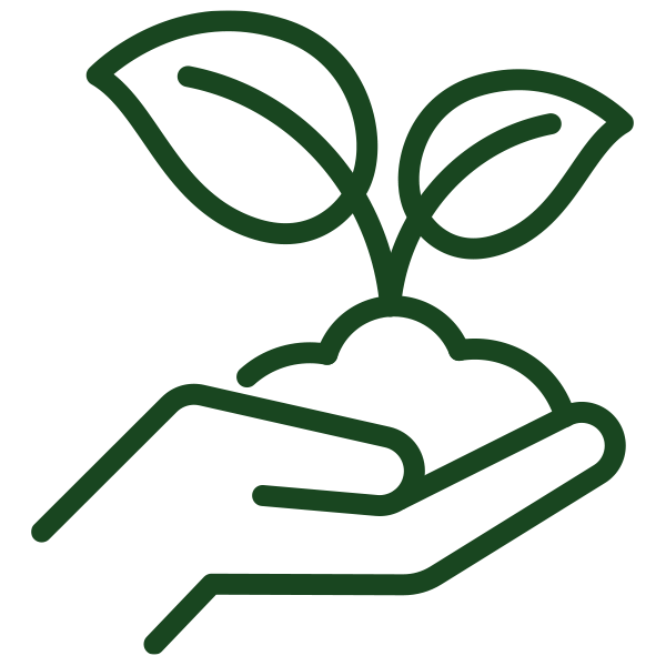 Icon of a hand holding a sprouting plant.