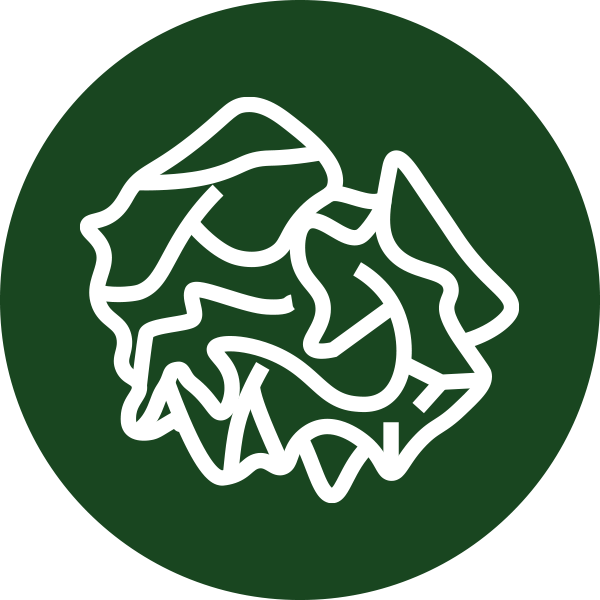 Green circular icon with a white outline of a paper fill.