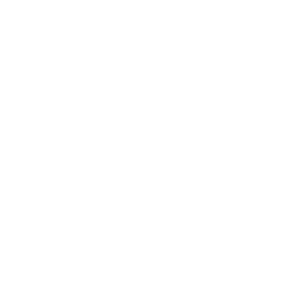 White shield outline with a checkmark inside.
