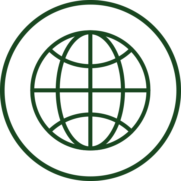 Globe Icon Green globe icon with intersecting grid lines inside a circular border.